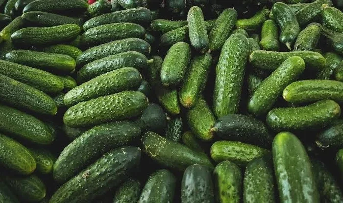 Пропонується огірок з Туреччини та Азербайджану- фото № 1