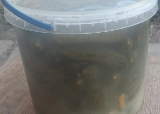 Продаж солоних огірків 2025 року- фото № 1