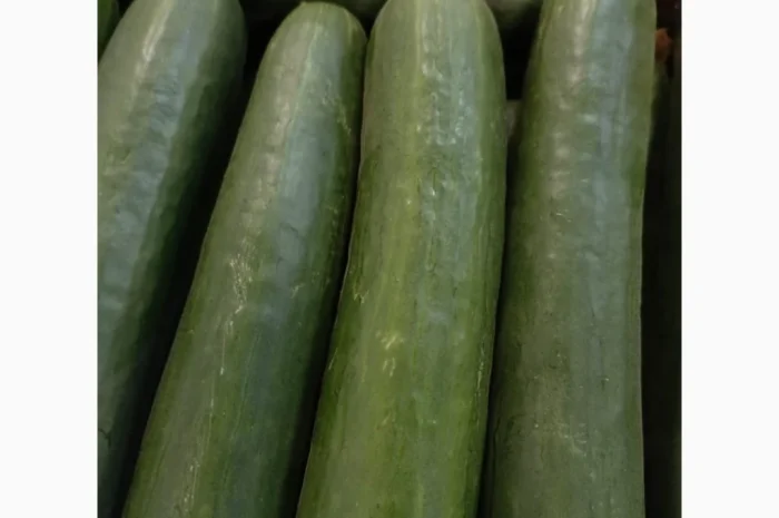 Куплю огурец тепличный длинный и короткий- фото № 1