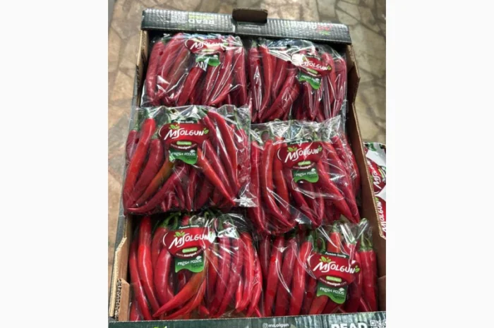 Огірки гуртом- фото № 5