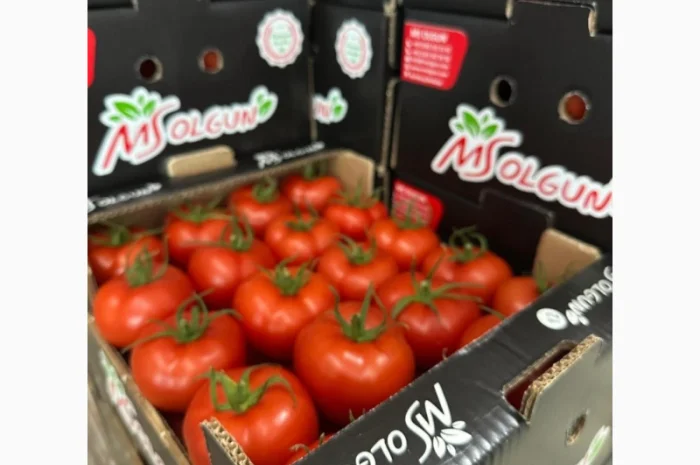 Огірки гуртом- фото № 6