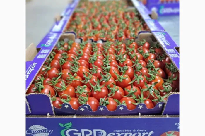 Продаю свіжі огірки- фото № 11