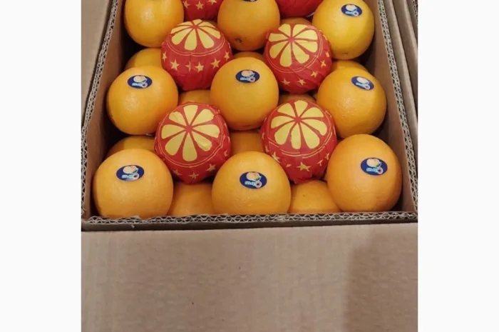 Продаю свіжі огірки- фото № 5