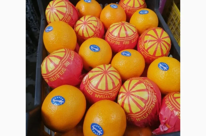 Продаю свіжі огірки- фото № 6