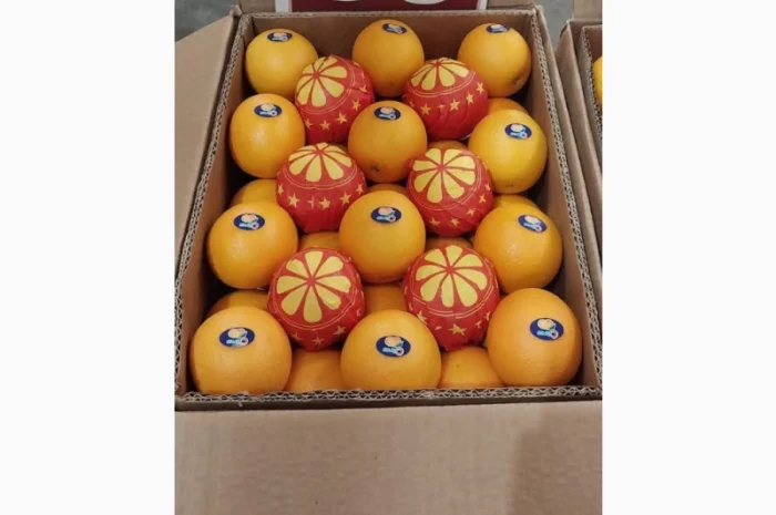 Продаю свіжі огірки- фото № 9