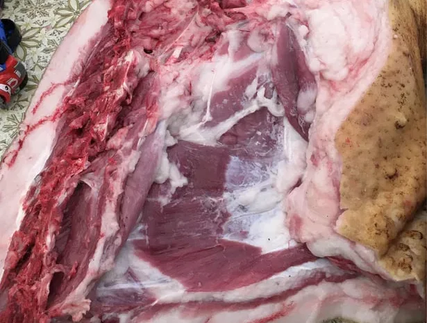 Домашняя свинина, мясо и сало на продажу- фото № 2