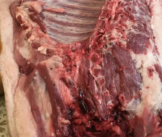 Домашняя свинина, мясо и сало на продажу- фото № 1