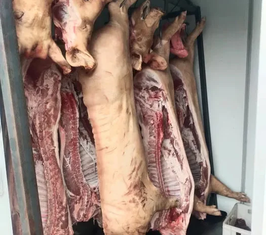 Свинина, тушка свині, мясо- фото № 2