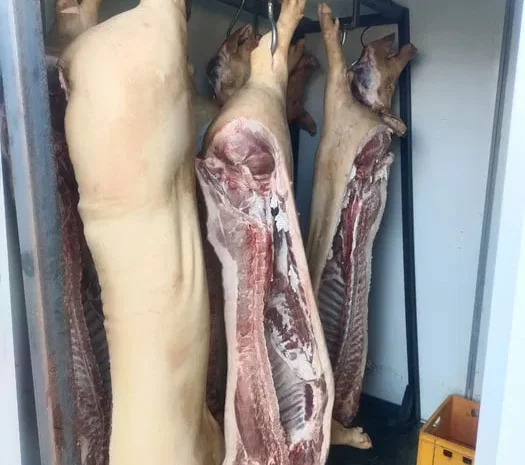 Свинина, тушка свині, мясо- фото № 1