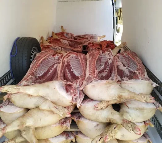 Свинина, туши и мясо на продажу- фото № 2