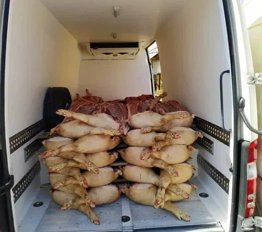 Свинина, туши и мясо на продажу- фото № 1