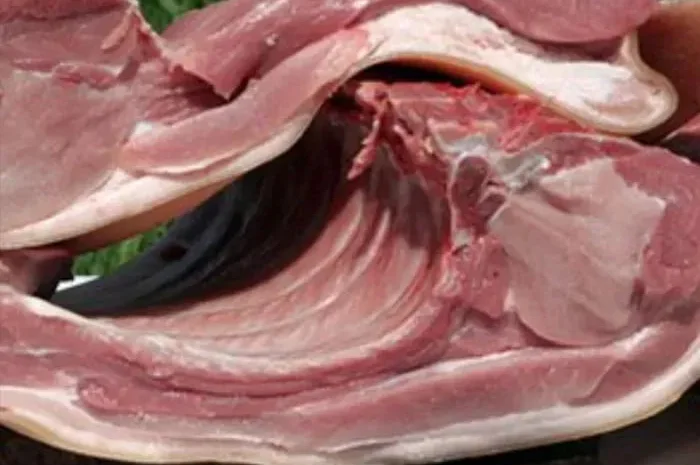 М'ясо, свинина, свинина туша- фото № 1