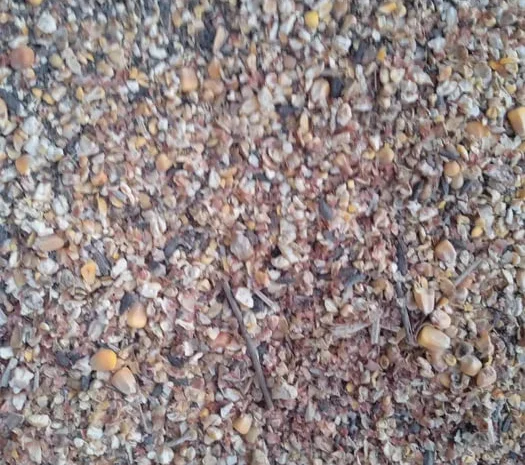 Продаж зерноотходу кукурудзи- фото № 1