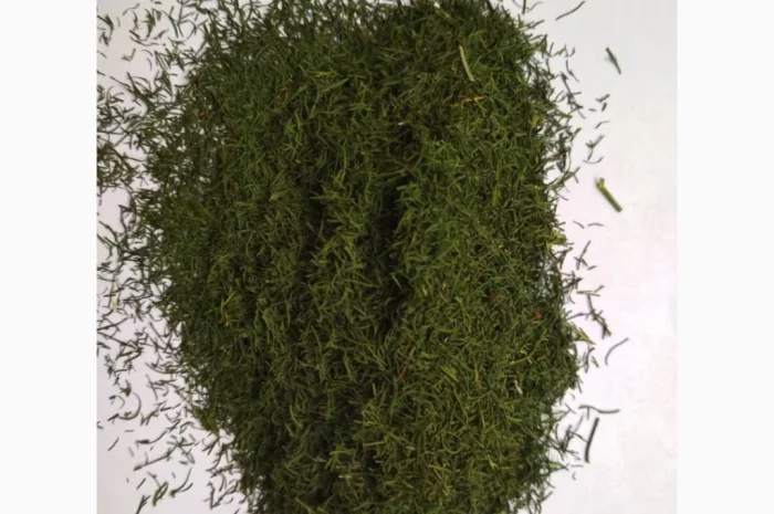 Кріп сушений оптом- фото № 2