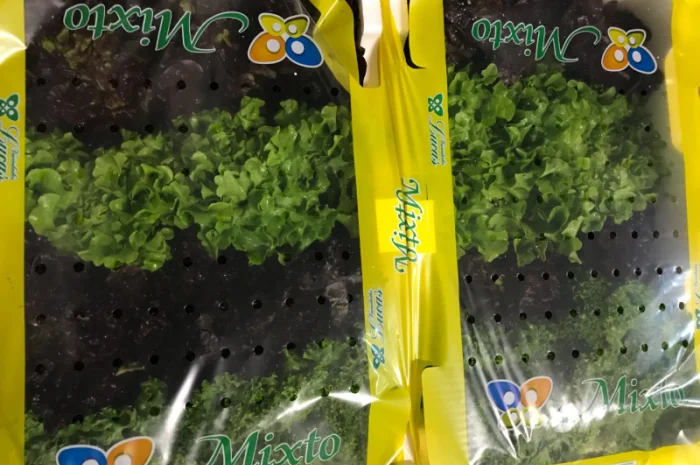 Салати з Іспанії на продаж- фото № 4