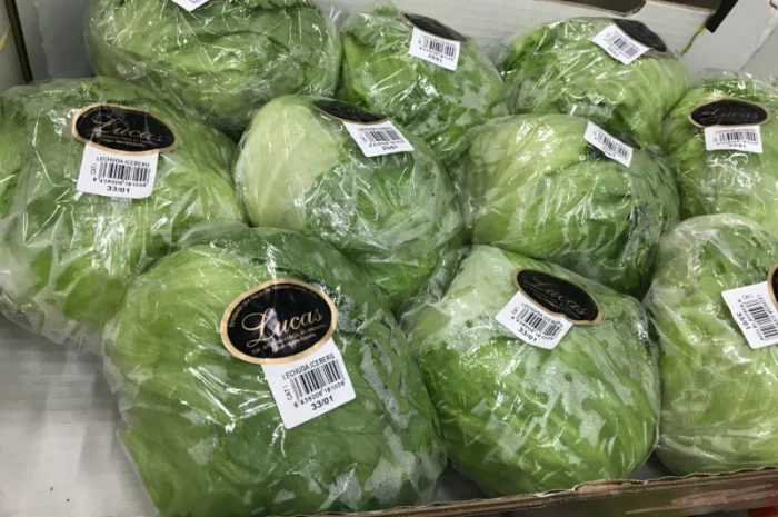 Салати з Іспанії на продаж- фото № 8