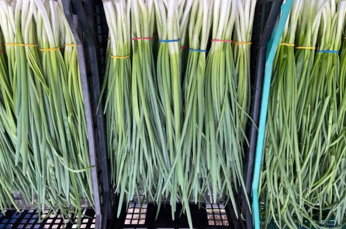 Продаж зеленої цибулі- фото № 8