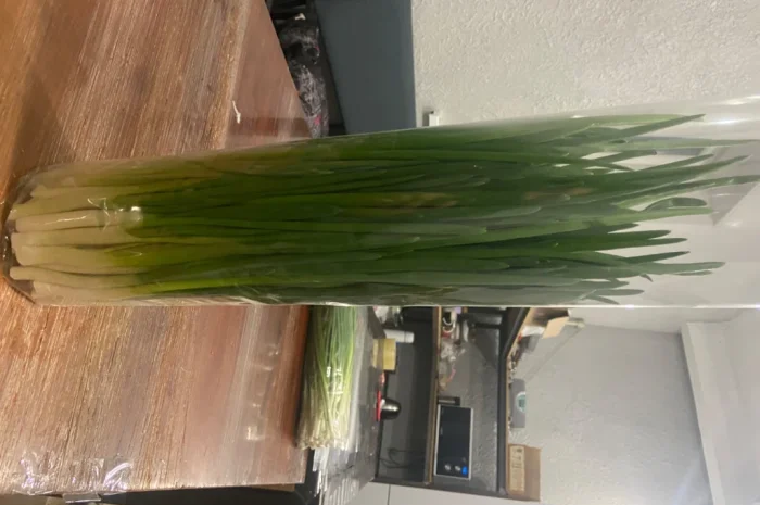 Продаж зеленої цибулі перо оптом- фото № 1