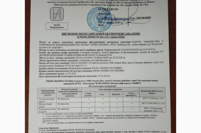 Продаж цибулі перо для вирощування- фото № 1