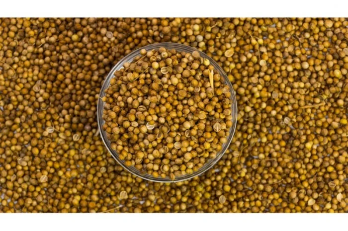 Кориандр 1 кг для кулінарії- фото № 1