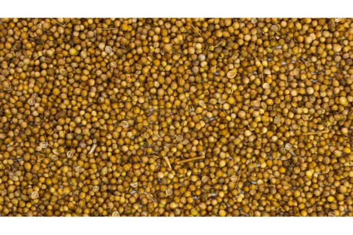 Кориандр 1 кг для кулінарії- фото № 2