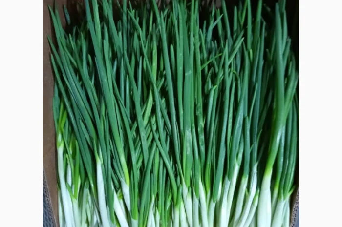 Пропозиція: зелень на продажу- фото № 2