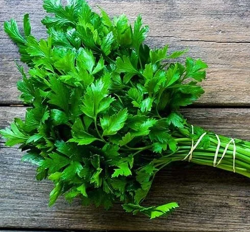 Продаю якісну петрушку- фото № 1