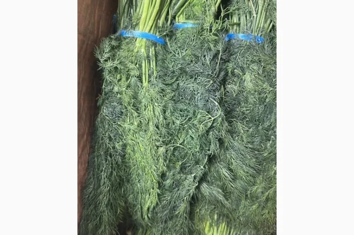 Продаж кріпа та петрушки- фото № 1