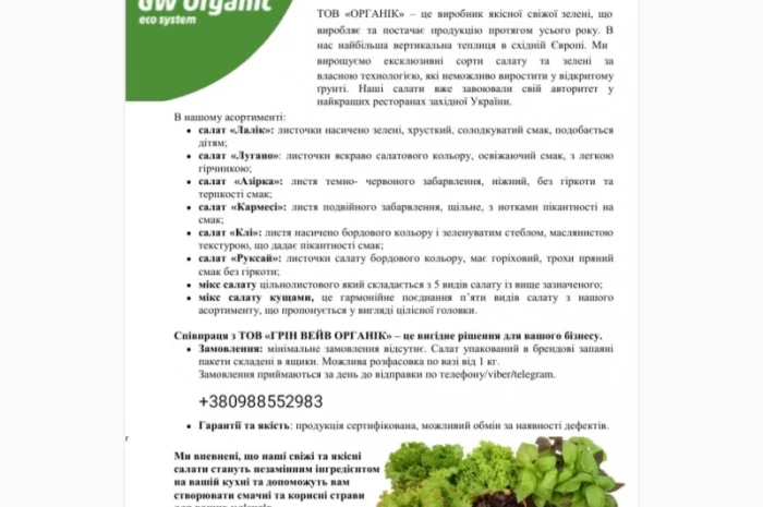 Свіжі сорти салату на продаж- фото № 1