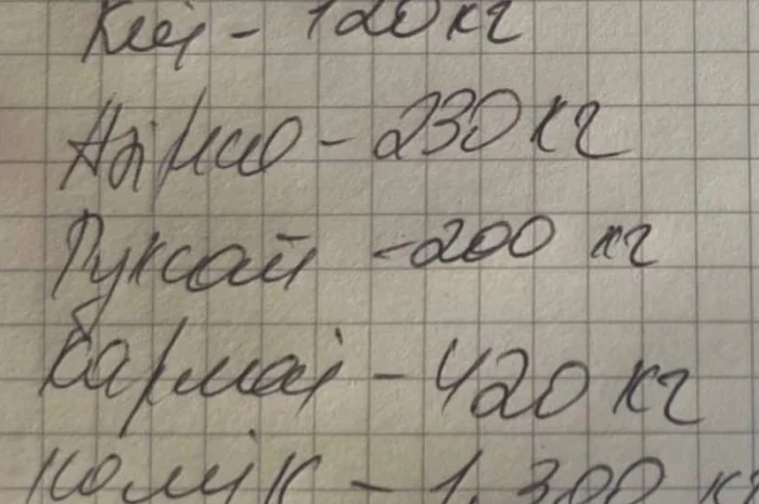 Свіжі сорти салату на продаж- фото № 2