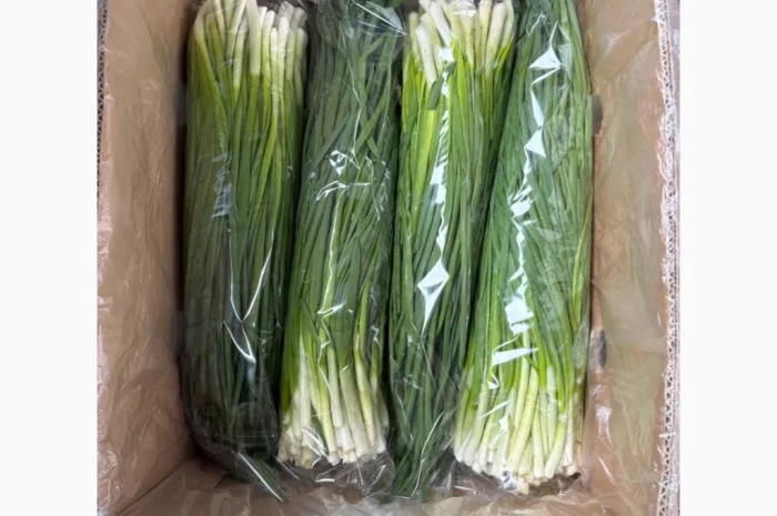 Свіжа зелена цибуля на продаж- фото № 1