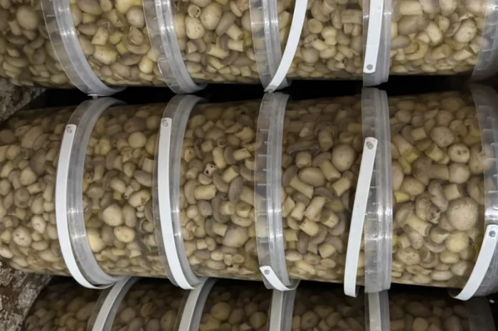 Продажа солений и корейских салатов- фото № 5