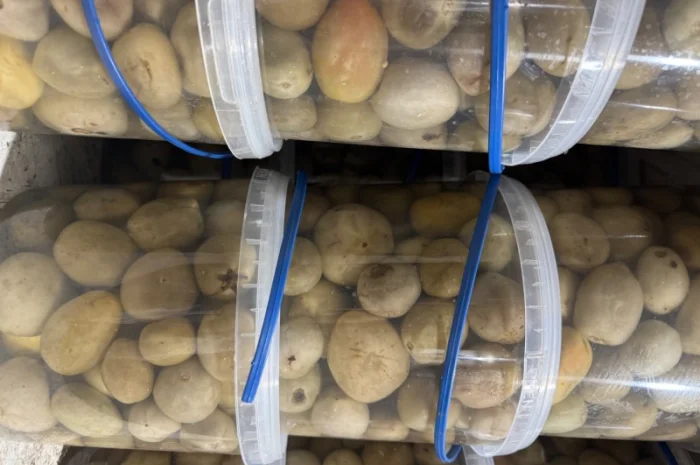 Продажа солений и корейских салатов- фото № 6