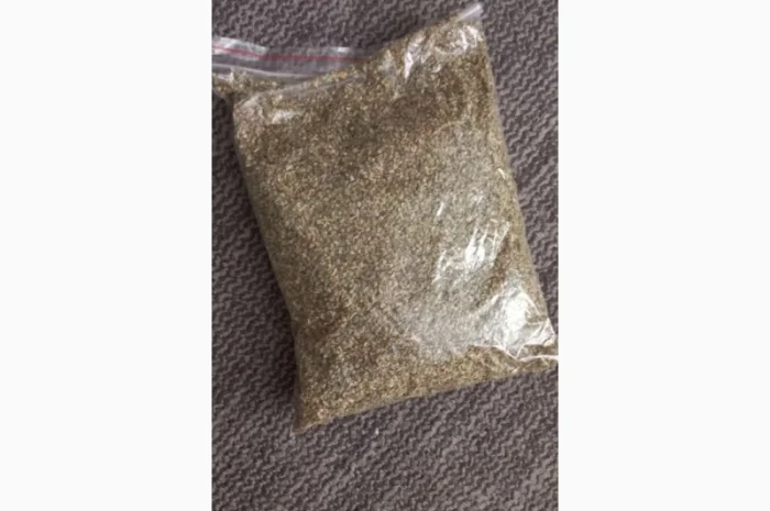 Продаж чабрець (тим'ян) оптом- фото № 3