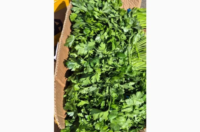 Продаж зелені та овочів- фото № 1