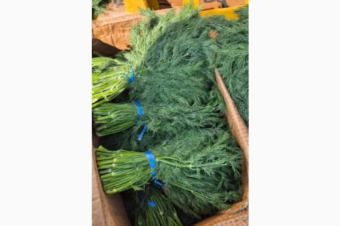 Продаж зелені та овочів- фото № 2