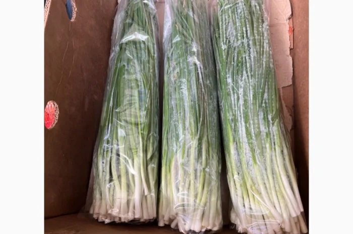 Продажа зеленой цибулі (перо) с договорной ценой- фото № 1