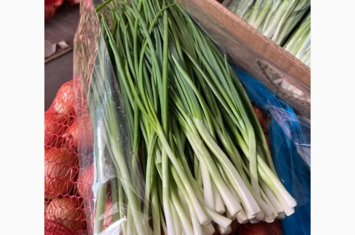 Продажа зеленой цибулі (перо) с договорной ценой- фото № 3