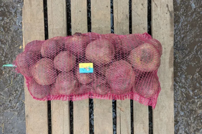 Куплю столовий буряк діаметром 10+ см- фото № 1