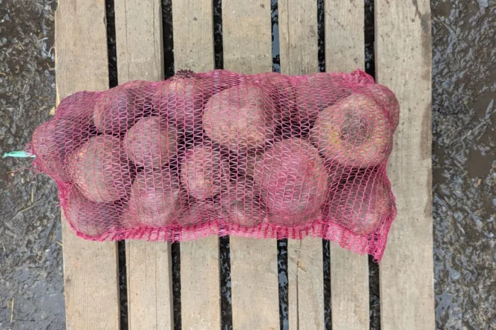 Куплю столовий буряк діаметром 10+ см- фото № 2