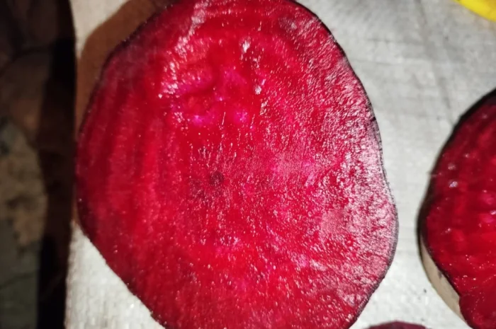 Покупка буряка столового на постоянной основе- фото № 1