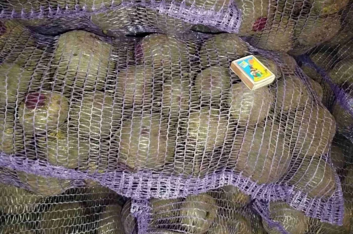 Покупка буряка столового на постоянной основе- фото № 3