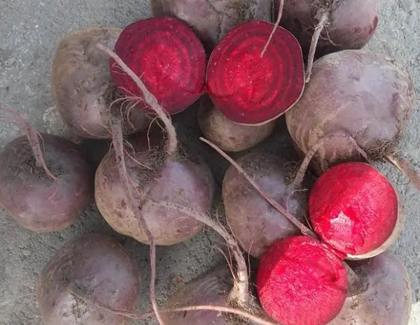 Продам буряк столовий- фото № 1
