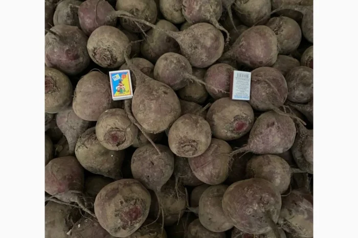 Купити буряк столовий- фото № 3