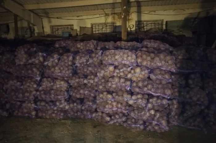 Продажа буряк Детройт- фото № 4