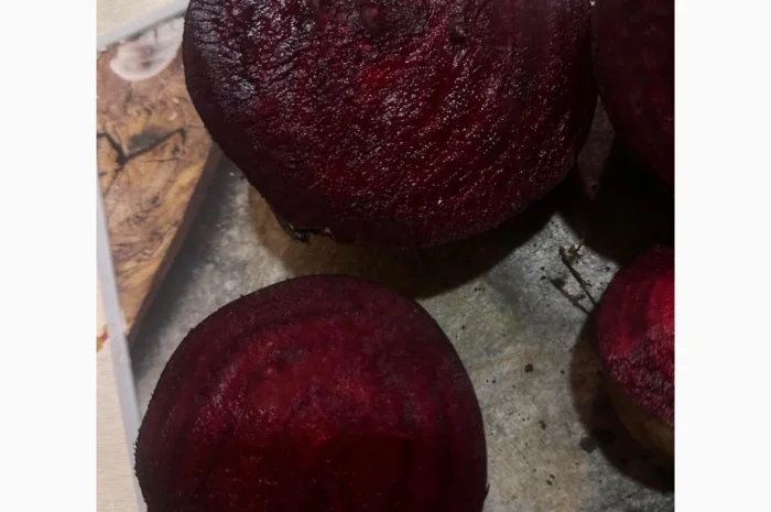 Продаю буряк сорта Камаро- фото № 2