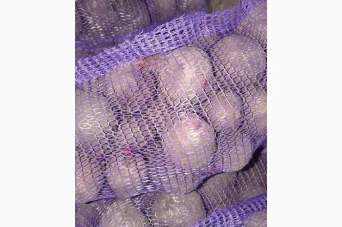 Продажа буряк 2 сорт- фото № 1