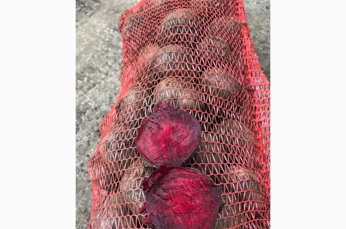 Якісний буряк на продаж- фото № 3