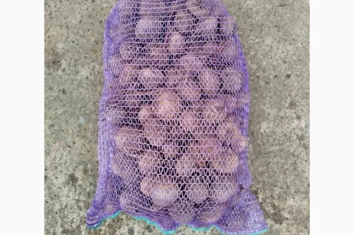 Продажа свеклы н/с и мелкой- фото № 3