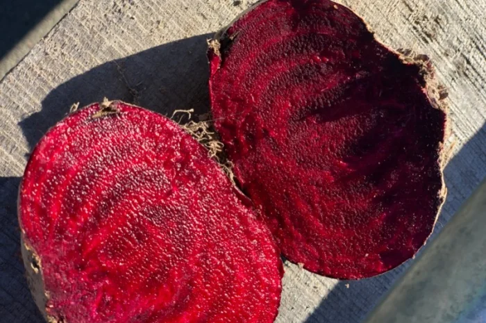 Продаж буряка столового- фото № 2